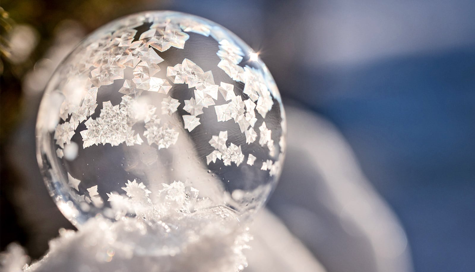 A soap bubble freezing in the winter cold.