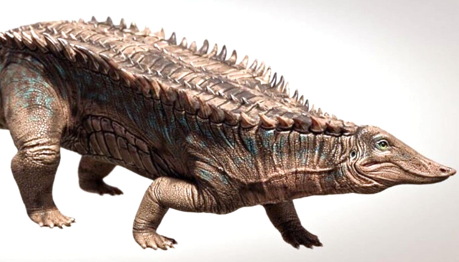 Crocodile Animal