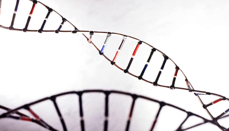 How Dna Evidence Could Help Solve More Cold Cases