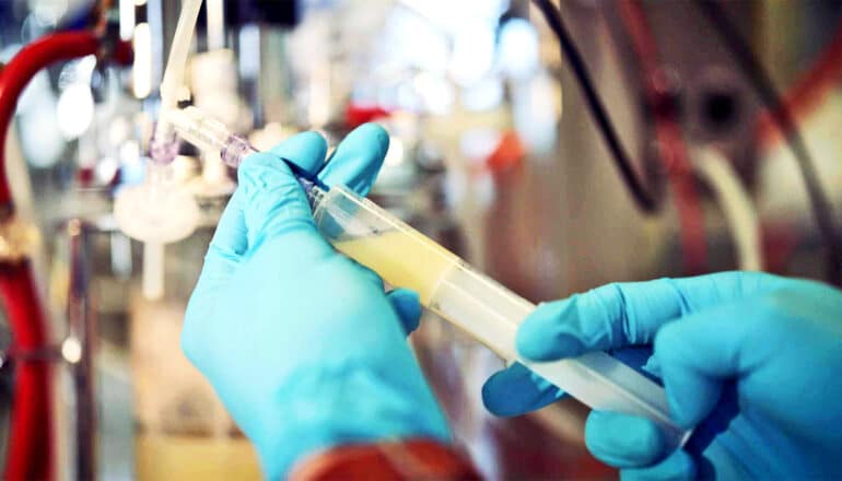 A researcher wearing blue gloves fills a syringe with a yellow-ish liquid.