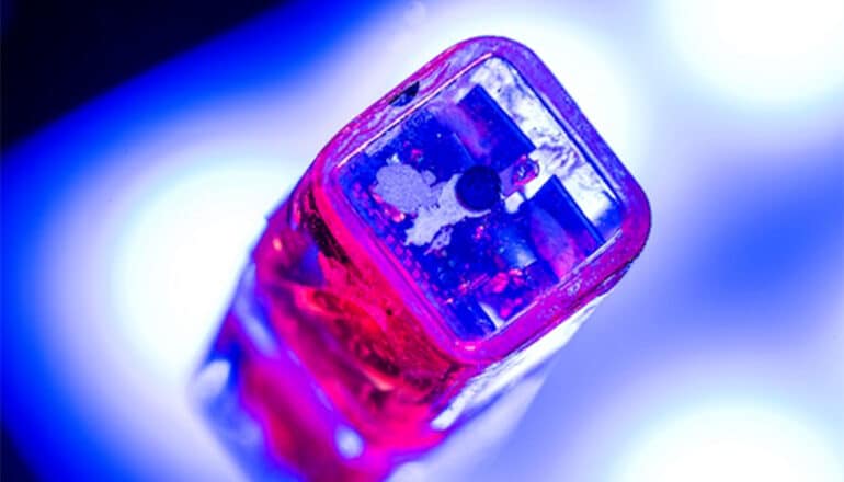 The brain stimulation implant device is a small pink cube with a clear top.
