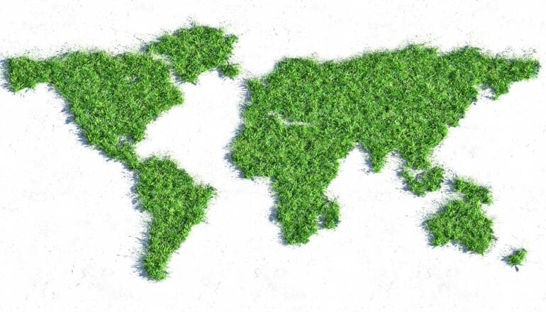 Grass on a white background in the shape of every continent on Earth.