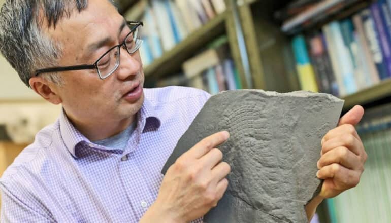 Xiao holds the fossil and points to ridges in the gray stone.