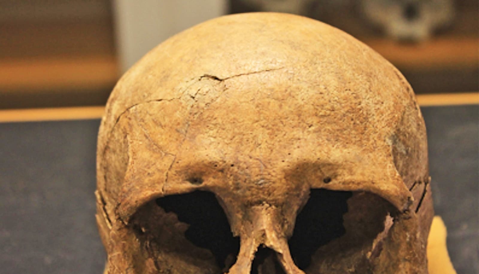 Listen: Bones reveal surprising differences among Vikings