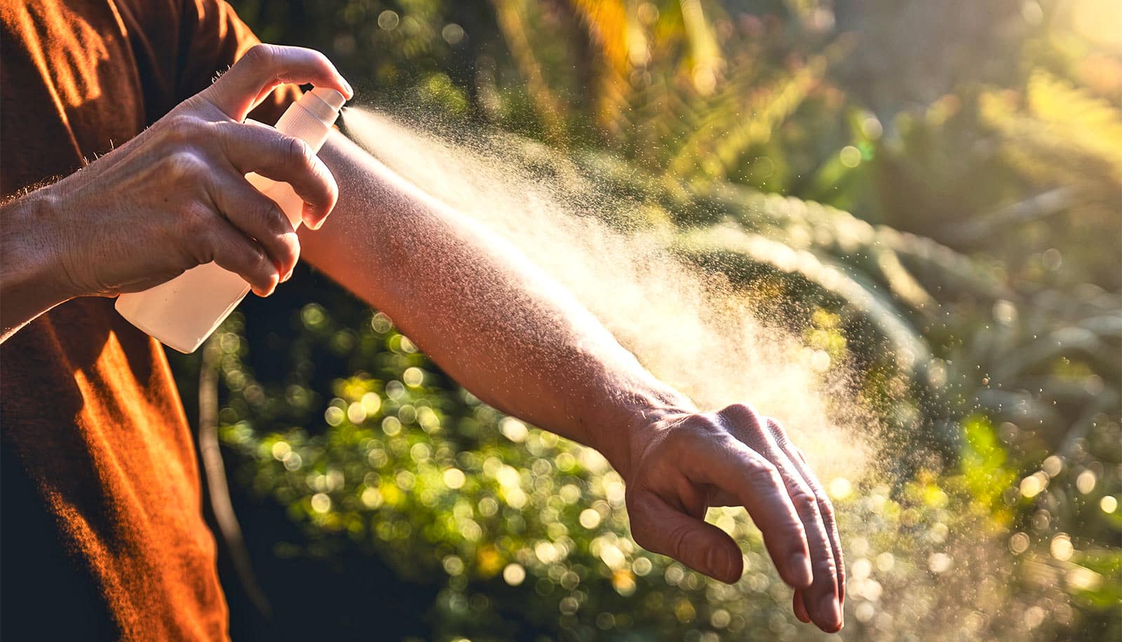 How to avoid ticks and mosquitoes