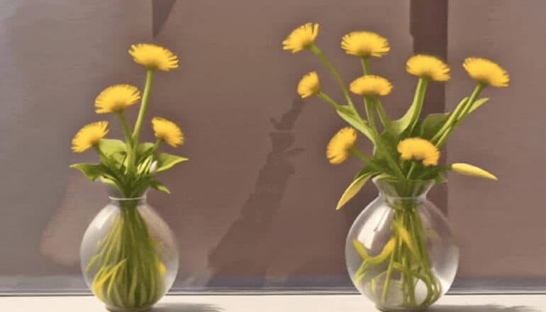 Two glass vases standing next to each other hold yellow flowers.