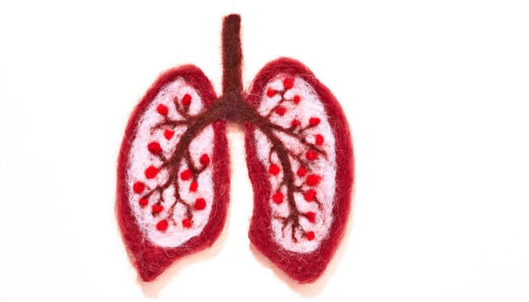 Human lungs woven out of wool sit on a white background.