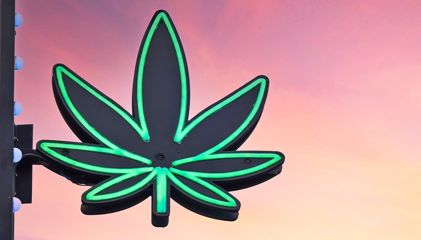 Cannabis use disorder may raise your psychiatric illness risk