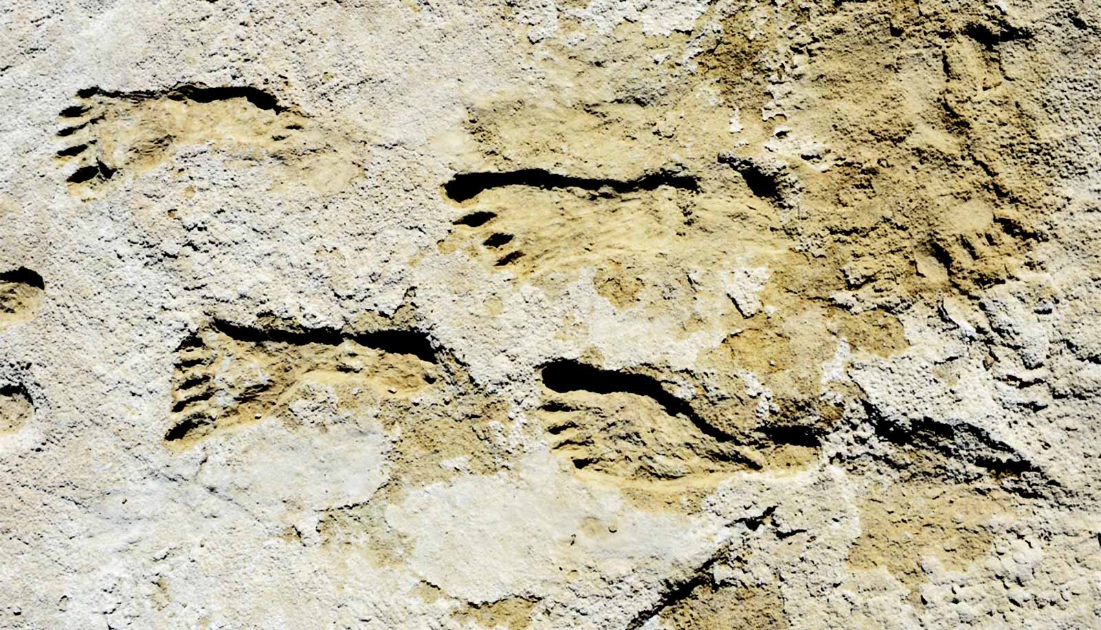 Team confirms earliest evidence of humans in the Americas