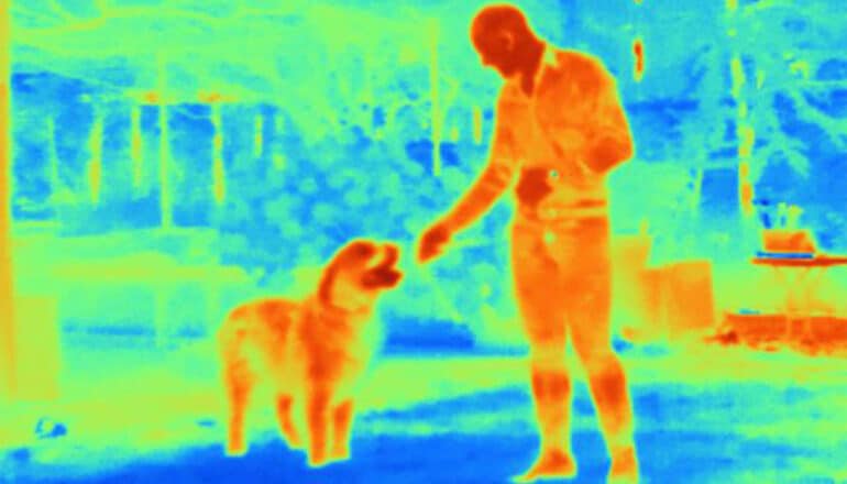 An infrared image of a man giving his dog a treat while on a walk.