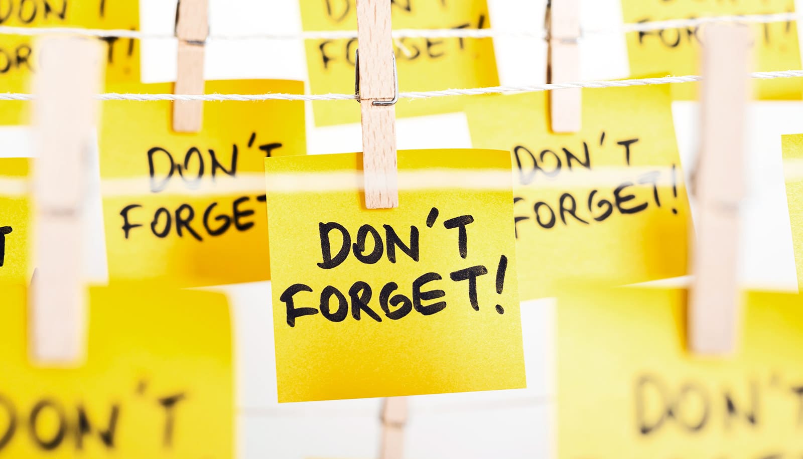 Working memory is more complicated than we thought