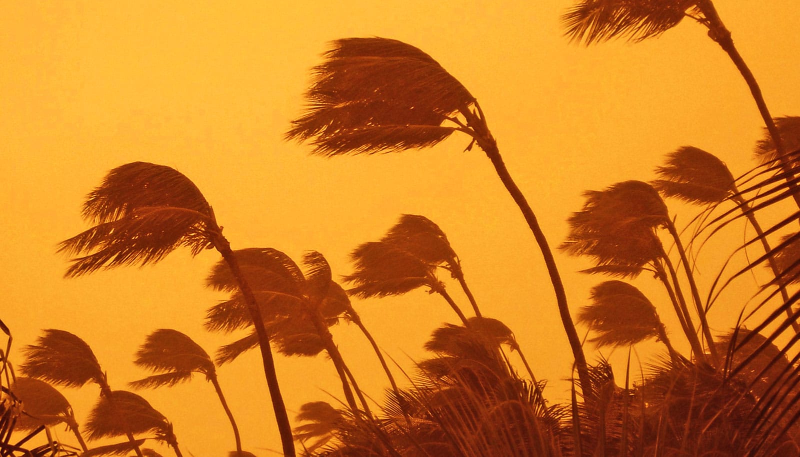 AI tool tracks early hurricane formation