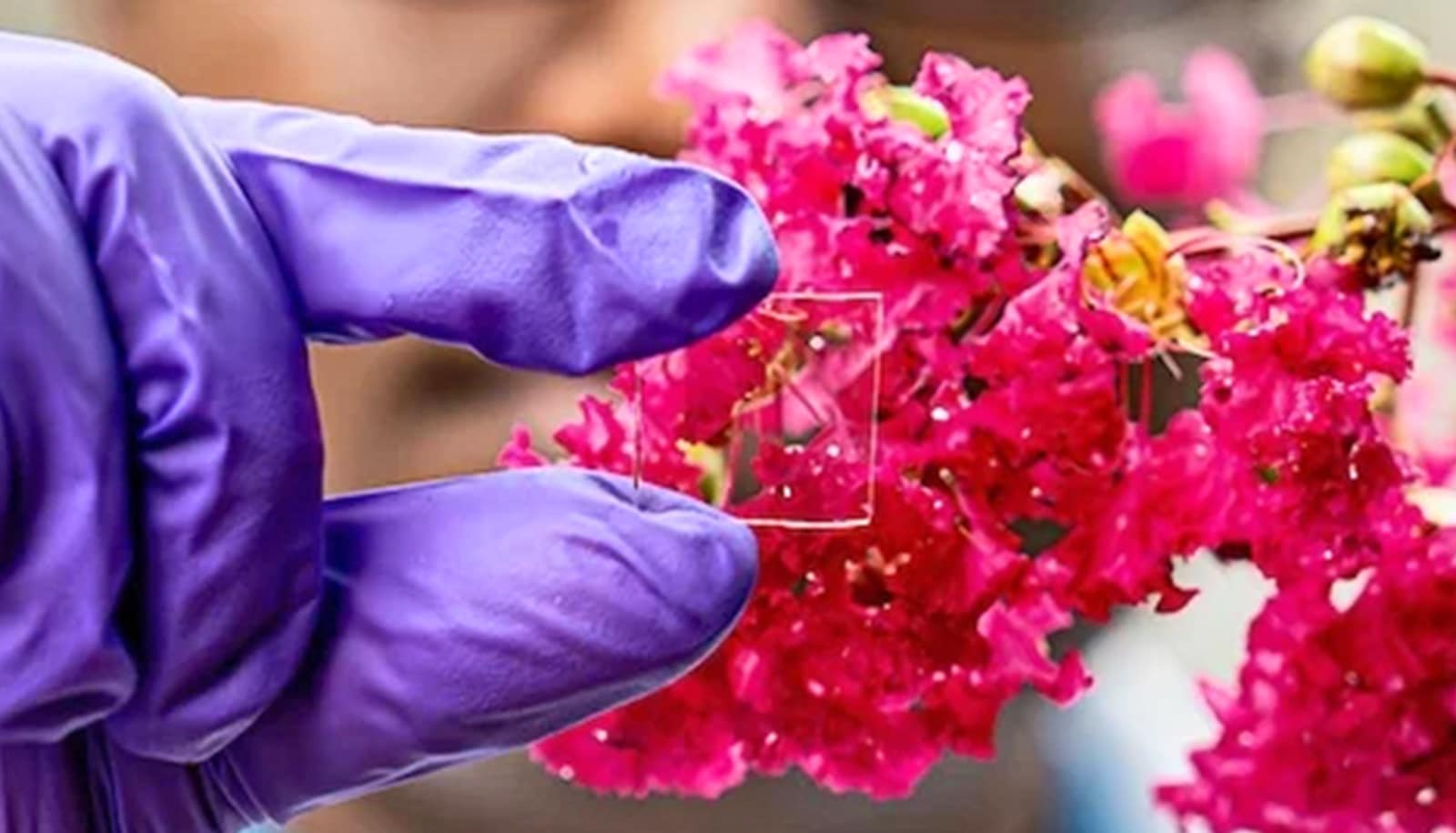 New glass coating could help cut energy bills