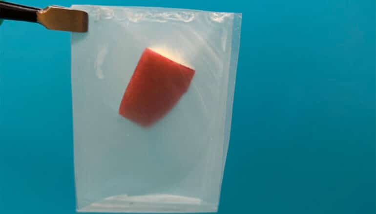 A pair of tweezers hold a small plastic bag with an apple slice in it.