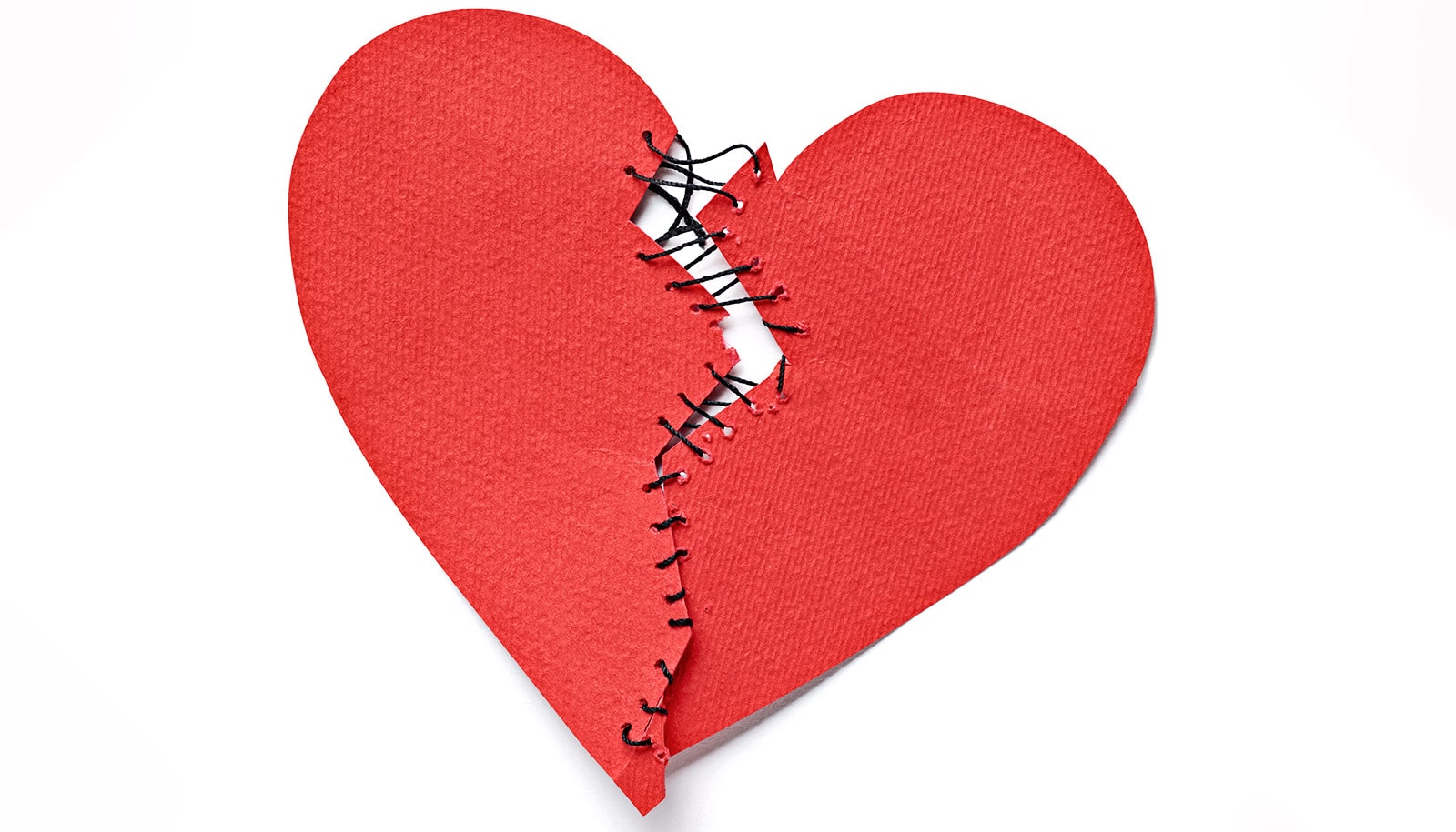 www.futurity.org image
