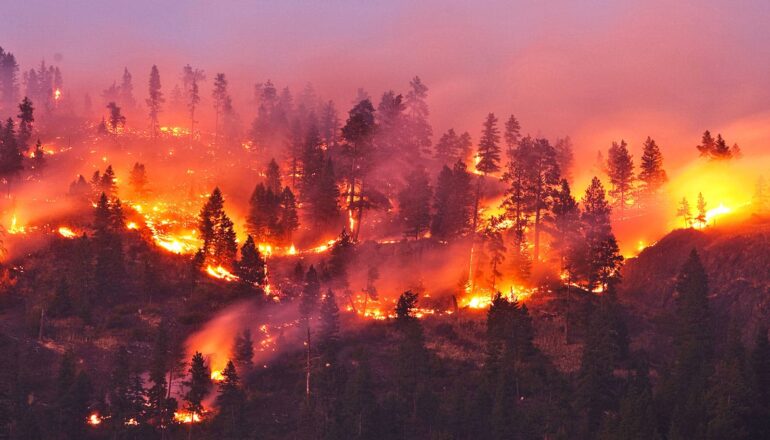 A forest burns as smoke turns the sky purple.