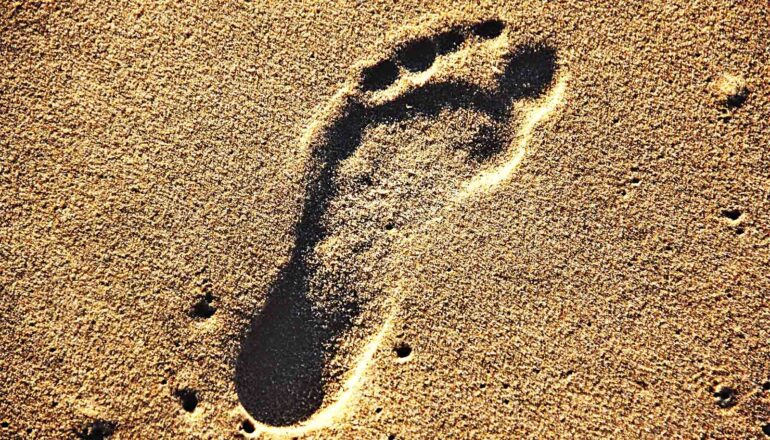 When did humans first arrive in Australia?