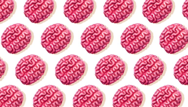 Rows of small pink plastic brain models on a white surface.