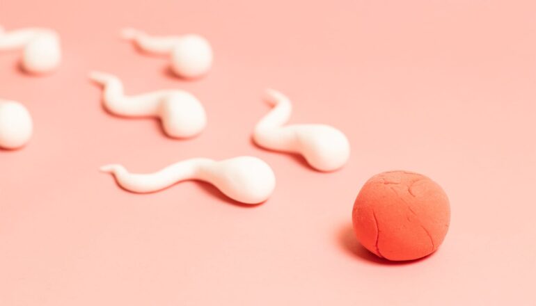 Clay models of sperm move towards a clay ball representing an egg.