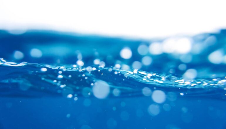 Water covering half of the frame.