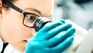 A scientist looks into a microscope.