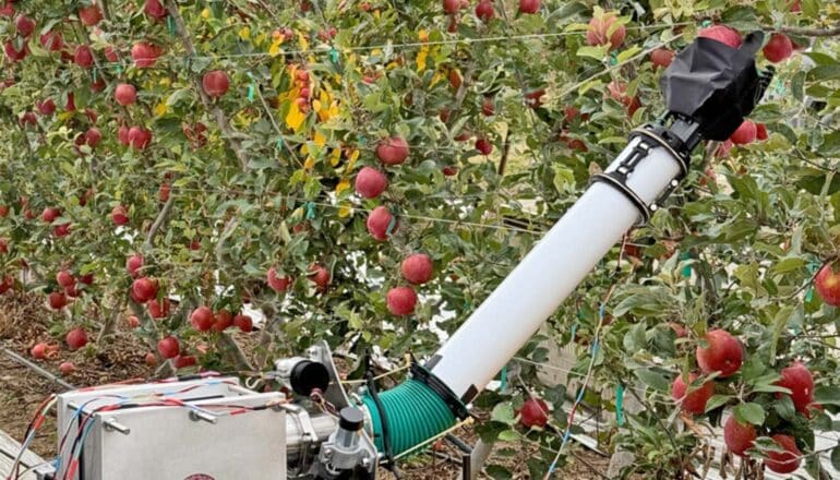 A robotic arm reaches outwards from a metallic base to pick an apple off an orchard tree.