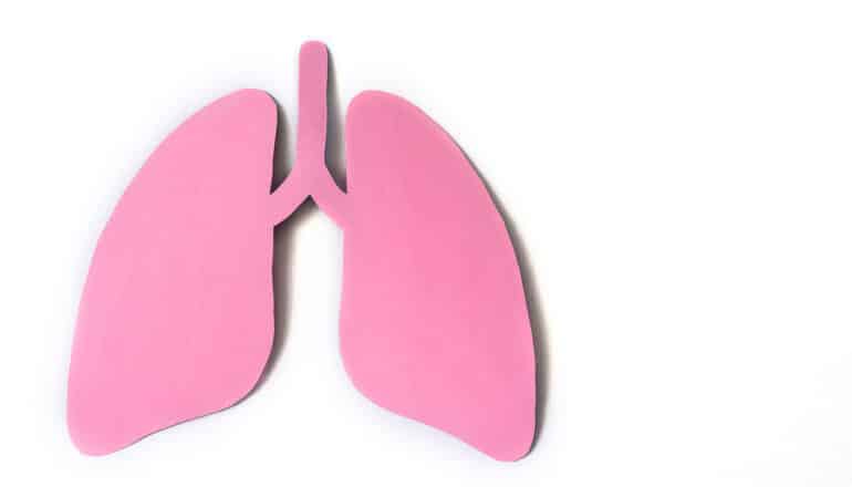 A pair of lungs cut out of pink paper on a white background.