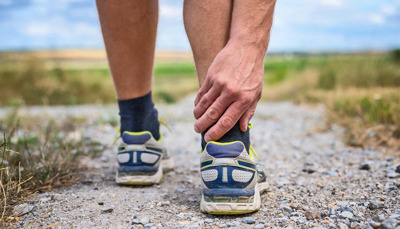 Team pinpoints tendon disease trigger