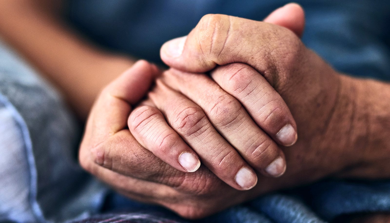 Researchers Discover Brainstem Pathway That Controls Human Hand Movement