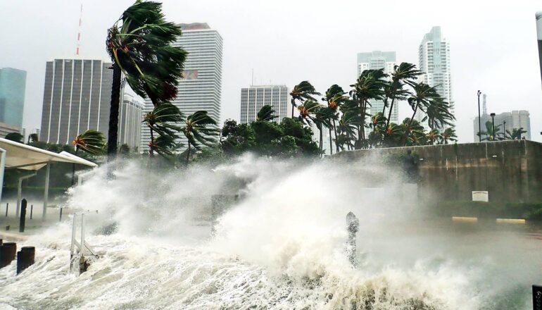 A wave crashes against the shore as palm trees are bent by high winds.