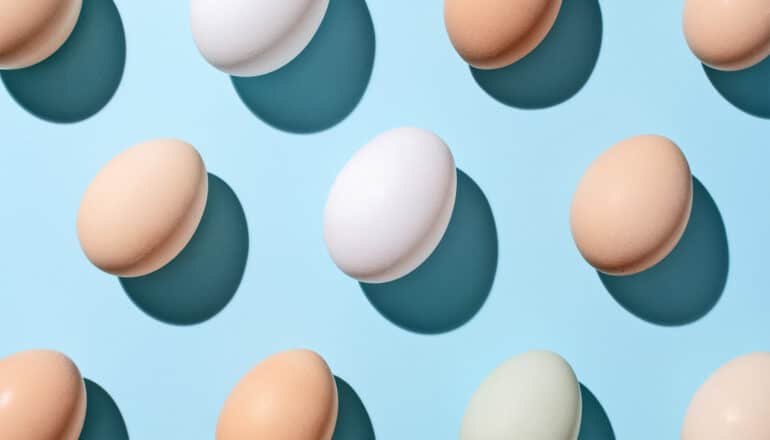 Rows of chicken eggs on a blue background.