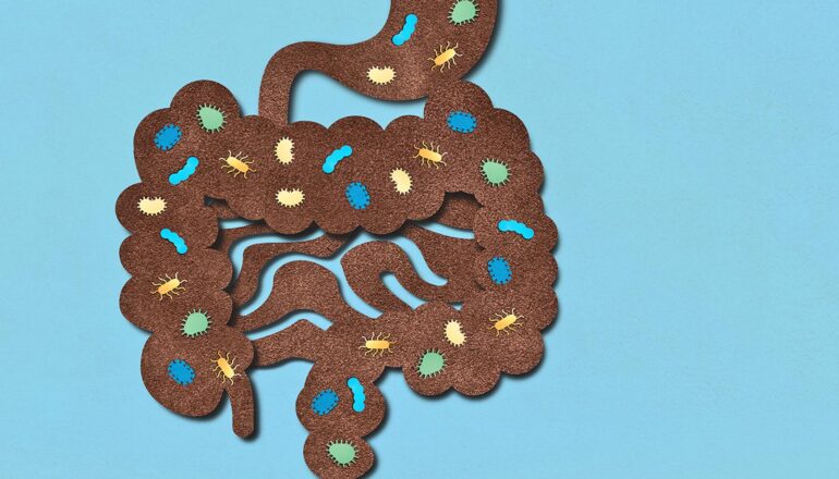 Modern lifestyles affect how gut bacteria process estrogen
