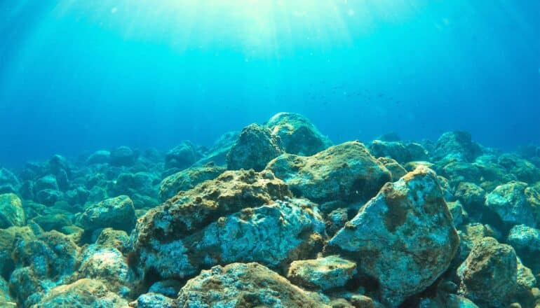 Early complex life lived on seafloors for millions of years