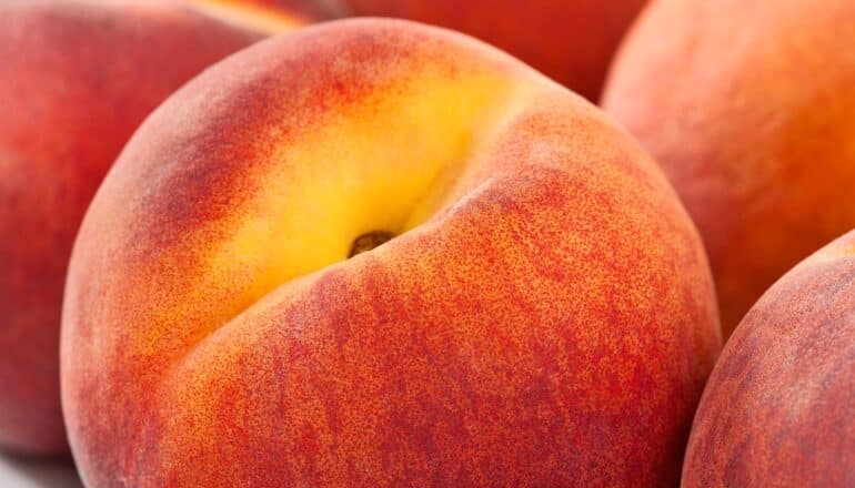 ‘Peach fuzz’ could hold clues to new chronic itch treatments