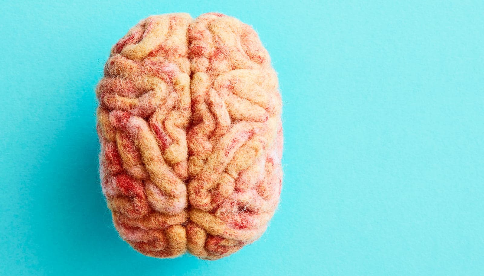How the Brain Controls Awareness of Our Actions - News Directory 3