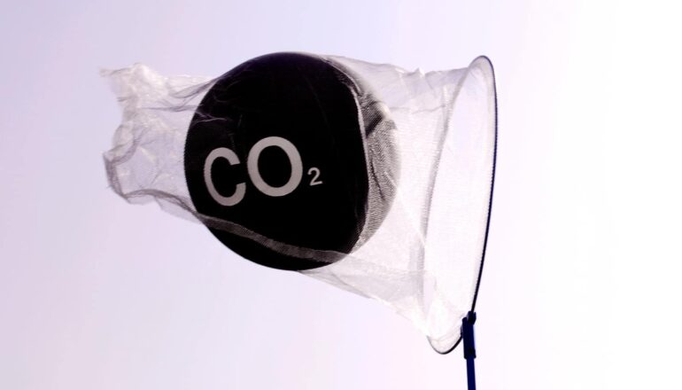 A net holds a black ball labeled "CO2" against a white sky.