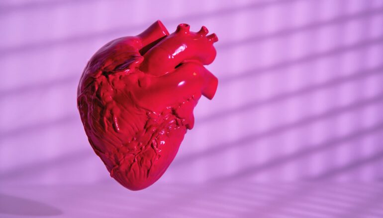 A red plastic model of the human heart against a pink background.