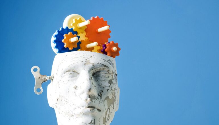Gears in a mannequin brain.