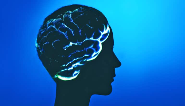 How Brain and Body Rhythms Shape Human Consciousness - News Directory 3
