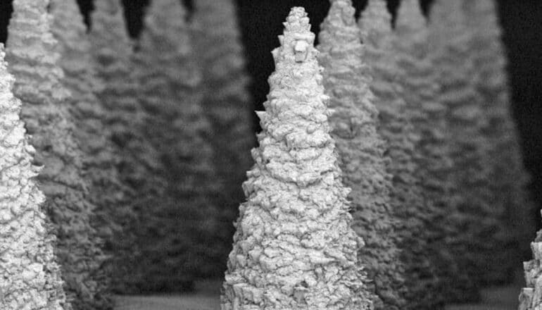 A microscopic view of the patch's microneedles in black and white show rows of small spikes.
