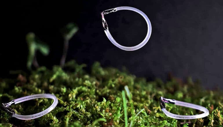 Watch: These robots can keep jumping forever
