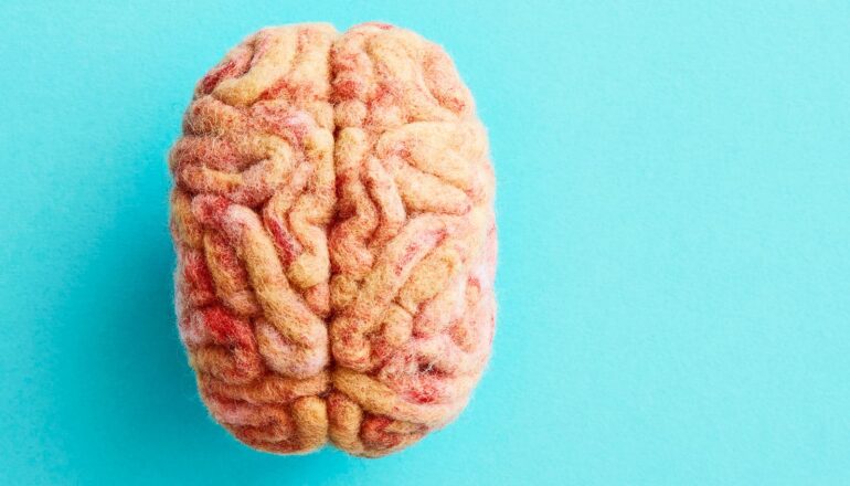 OCD brain circuit discovery could pave way for new treatments