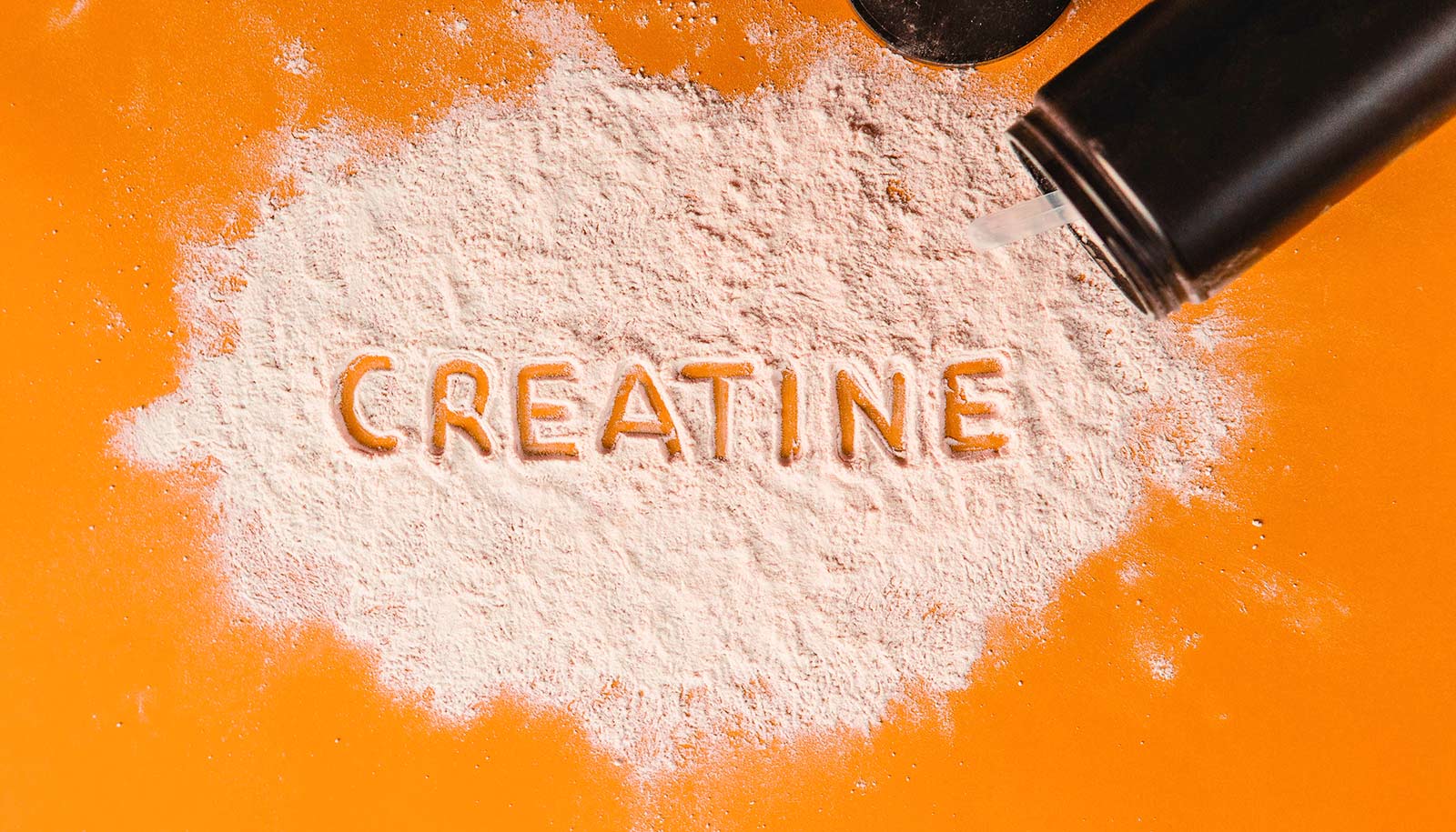 Creatine’s benefits may go beyond the gym for older adults - futurity.org