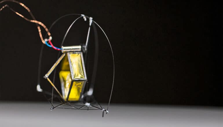 Tiny robot can precisely control how high it jumps