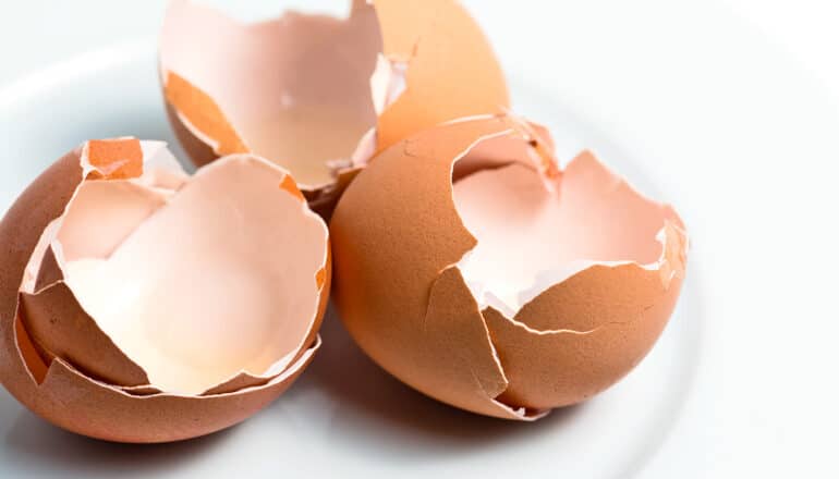 Eggshells help make stronger, lighter metal alloys