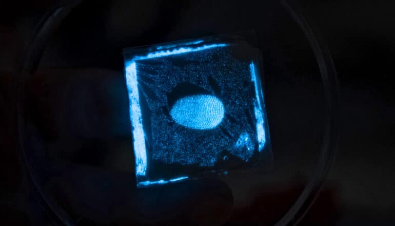Electronic skin lights up under pressure
