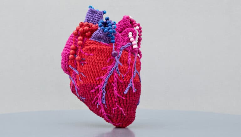 How do heart valves last so long?